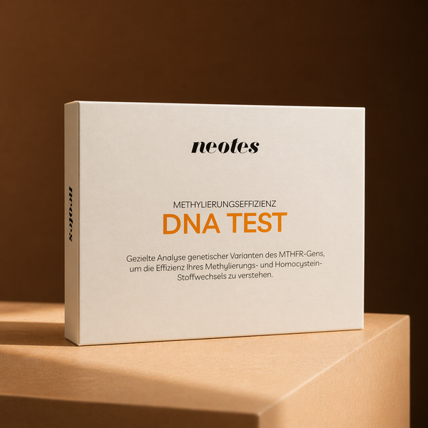 Neotes DNA Test Methylierungseffizienz